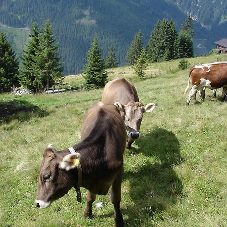 Farm Resort Geislerhof Gerlos Eksteriør billede